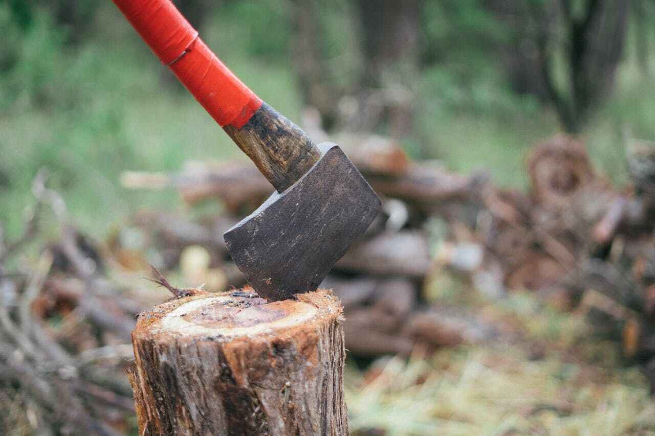 Residential Tree Removal in Ripon, WI